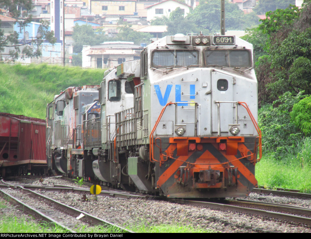 VLI 6031